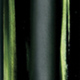 Bamboo Black