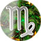 Virgo