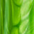 Mamba Green